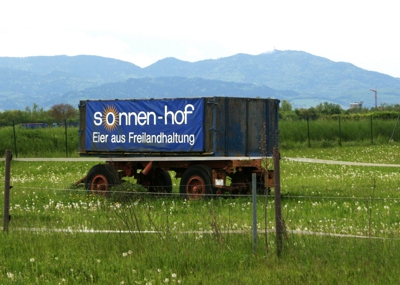 Eier vom Schwarzwlder Bauernmarkt